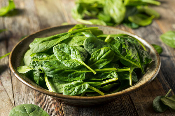 Raw Organic Fresh Baby Spinach in a Bowl