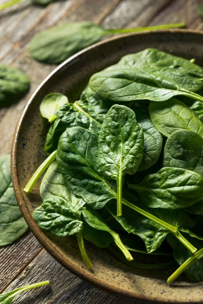 Raw Organic Fresh Baby Spinach Bowl — Stock Photo, Image