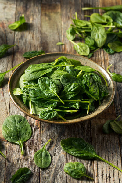 Raw Organic Fresh Baby Spinach in a Bowl