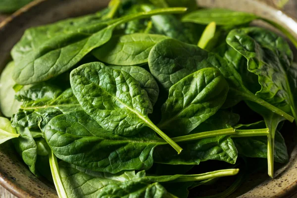 Raw Organic Fresh Baby Spinach Bowl — Stock Photo, Image