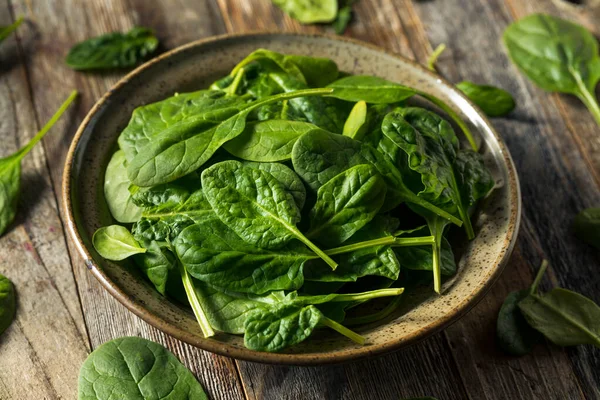 Raw Organic Fresh Baby Spinach Bowl — Stock Photo, Image