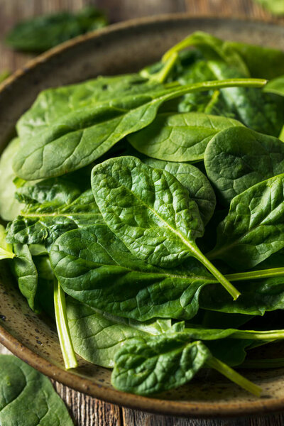 Raw Organic Fresh Baby Spinach in a Bowl
