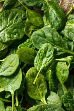 Çiğ organik taze ıspanak kasesinde