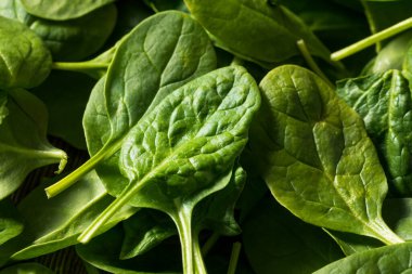 Çiğ organik taze ıspanak kasesinde