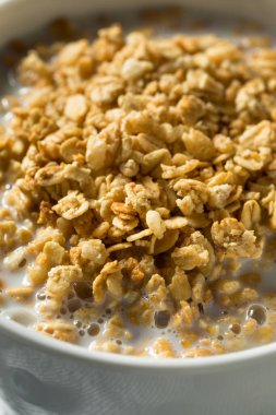Sağlıklı Organik Granola ve Kahvaltı İçin Süt Kasesi