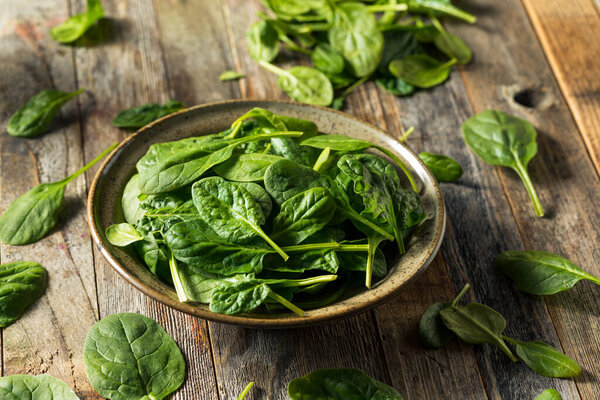 Raw Organic Fresh Baby Spinach in a Bowl