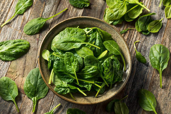 Raw Organic Fresh Baby Spinach in a Bowl