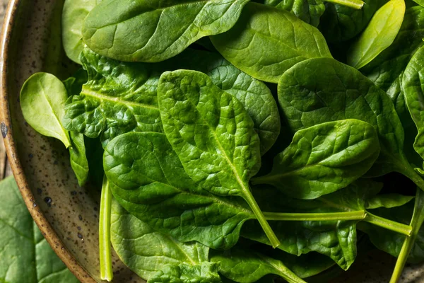 Raw Organic Fresh Baby Spinach Bowl — Stock Photo, Image