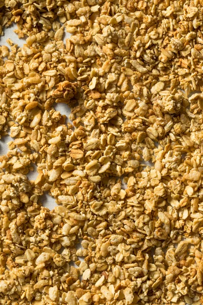 Zelfgemaakte Biologische Granola Met Honing Klaar Eten — Stockfoto
