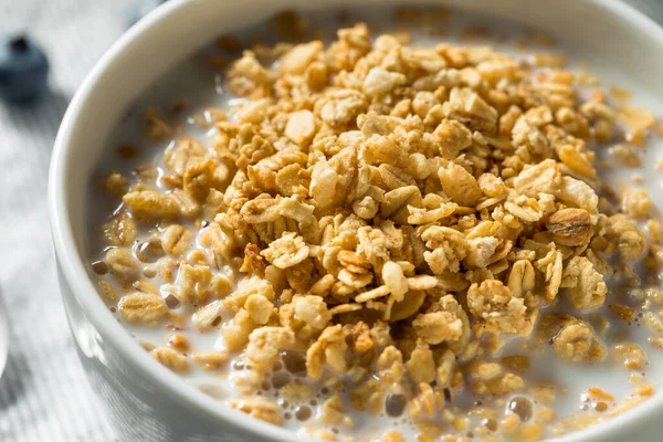 Granola Biologique Saine Avec Lait Pour Petit Déjeuner Dans Bol — Photo