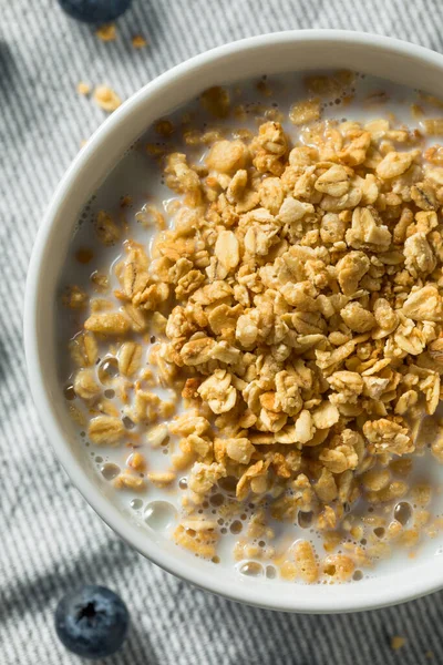 Granola Orgánica Saludable Con Leche Para Desayuno Bowl —  Fotos de Stock