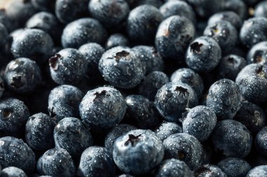 Bir demet çiğ mavi organik yaban mersini.
