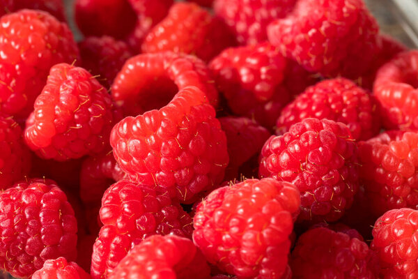 Raw Organic Red Raspberries in a Bowl
