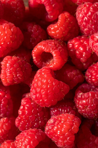 Raw Organic Red Raspberries in a Bowl