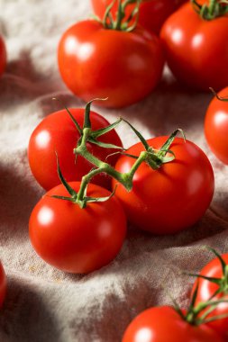 Çiğ Organik Vine Olgun Kırmızı Domatesler Bir demet
