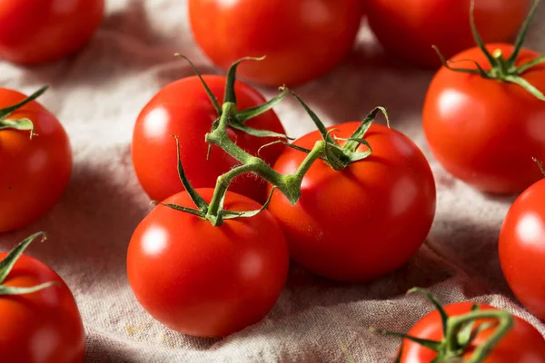 Raw Organic Vine Ripe Red Tomatoes Een Bunch — Stockfoto