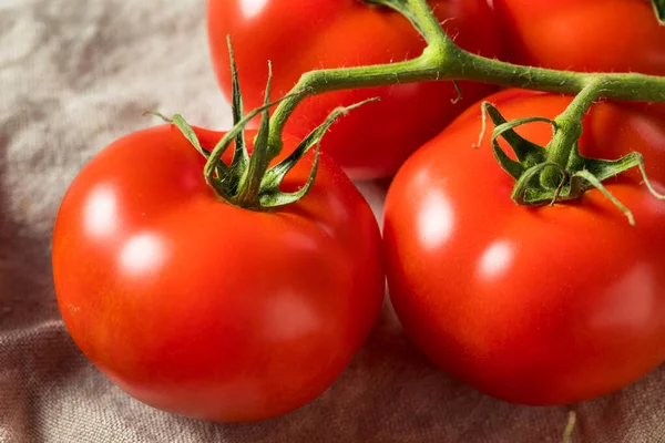 Pomodori Rossi Maturi Vite Biologica Cruda Mazzo — Foto Stock