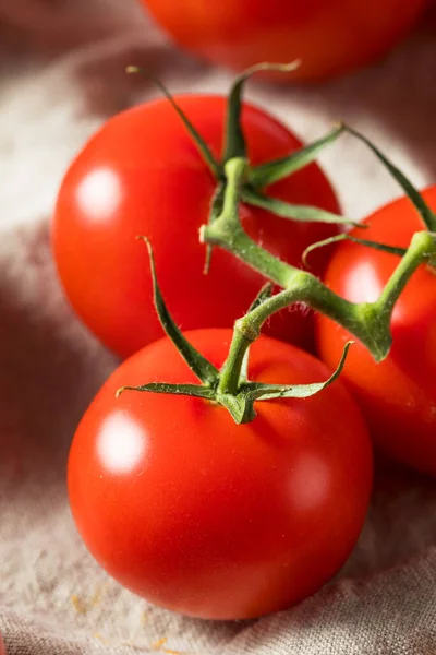 Raw Organic Vine Ripe Red Tomatos Bunch — Stock fotografie