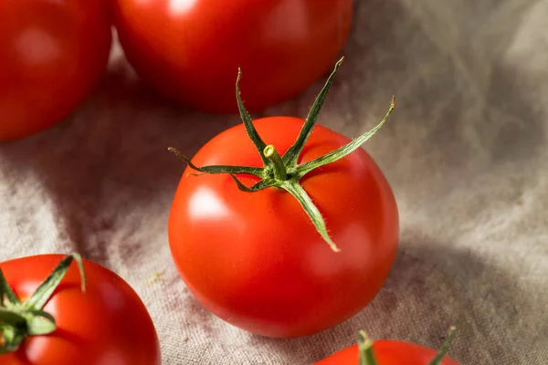 生の有機つるは 束の赤いトマトを熟す — ストック写真