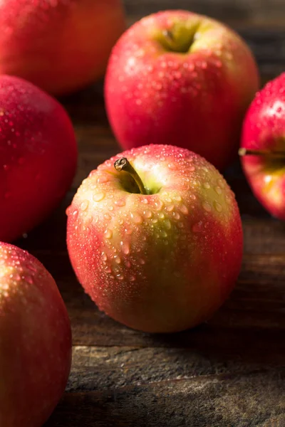 Raw Organic Red Fuji Äpplen Grupp — Stockfoto