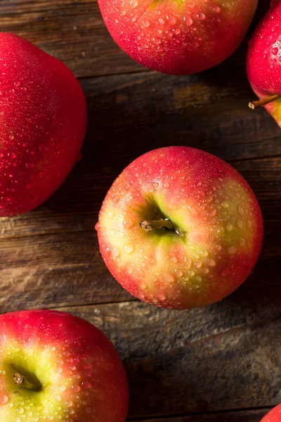 Raw Organic Red Fuji Apples in a Bunch
