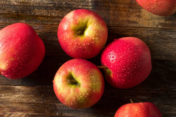 Raw Organic Red Fuji Äpplen Grupp — Stockfoto
