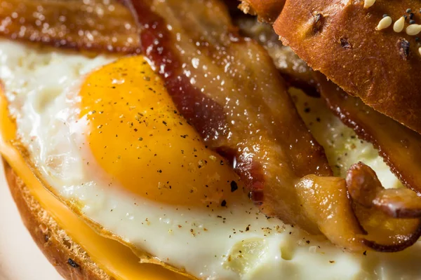 Hemlagad Fried Egg Bagel Smörgås Med Ost Och Bacon — Stockfoto