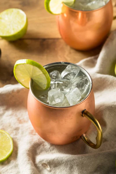 Homemade Vodka Moscow Mule Ginger Beer Lime — Stock Photo, Image