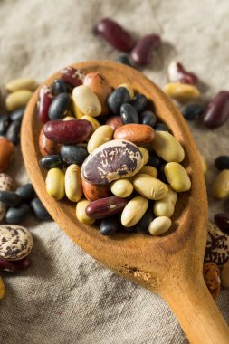 Raw Dried Organic Bean Assortment Ready to Cook clipart