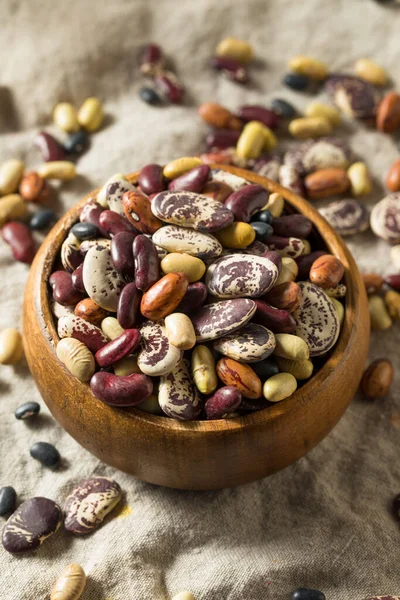 Raw Dried Organic Bean Assortment Ready Cook — Stock Photo, Image