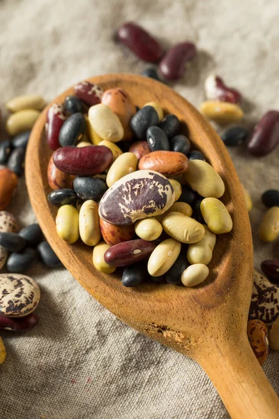 Surtido Frijoles Orgánicos Secos Crudos Listos Para Cocinar —  Fotos de Stock