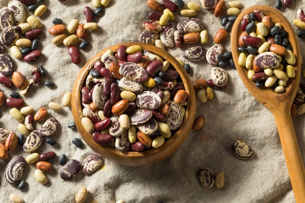 Surtido Frijoles Orgánicos Secos Crudos Listos Para Cocinar —  Fotos de Stock