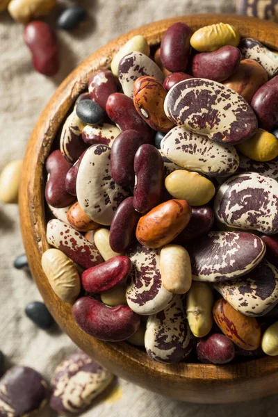 Raw Dried Organic Bean Assortment Ready Cook — Stock Photo, Image