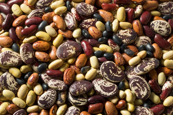Raw Dried Organic Bean Assortment Ready Cook — Stock Photo, Image