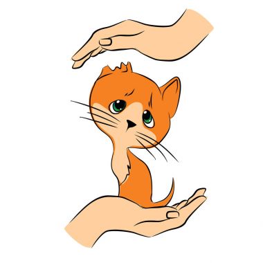 Koruma Pets