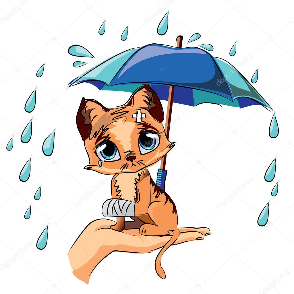 Protection of pets. Logo for the shelter of cats-invalids. Homeless animals.a sad cat sits on a hand under an umbrella