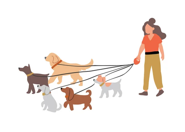 Mujer perro caminando con perros razas ilustración — Vector de stock