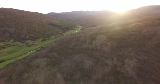 Aereal View Beech Forest Spain One Suthern Beech Forest Europe — Stock Video