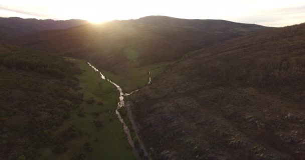 Aereal Bokskog Spanien Suthern Bokskogen Europa — Stockvideo