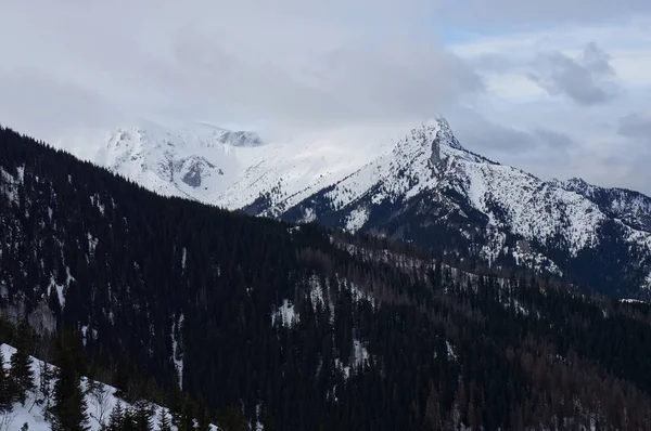Mglisty Śnieżny Krajobraz Górski — Zdjęcie stockowe