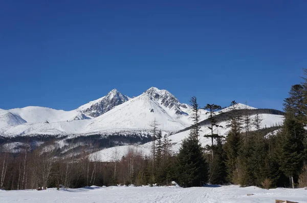 Snowy Mountain on a clear and sunny day