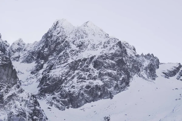 Snowy Rocky Mountain Vrcholky Zamlženém Chladném Dni — Stock fotografie