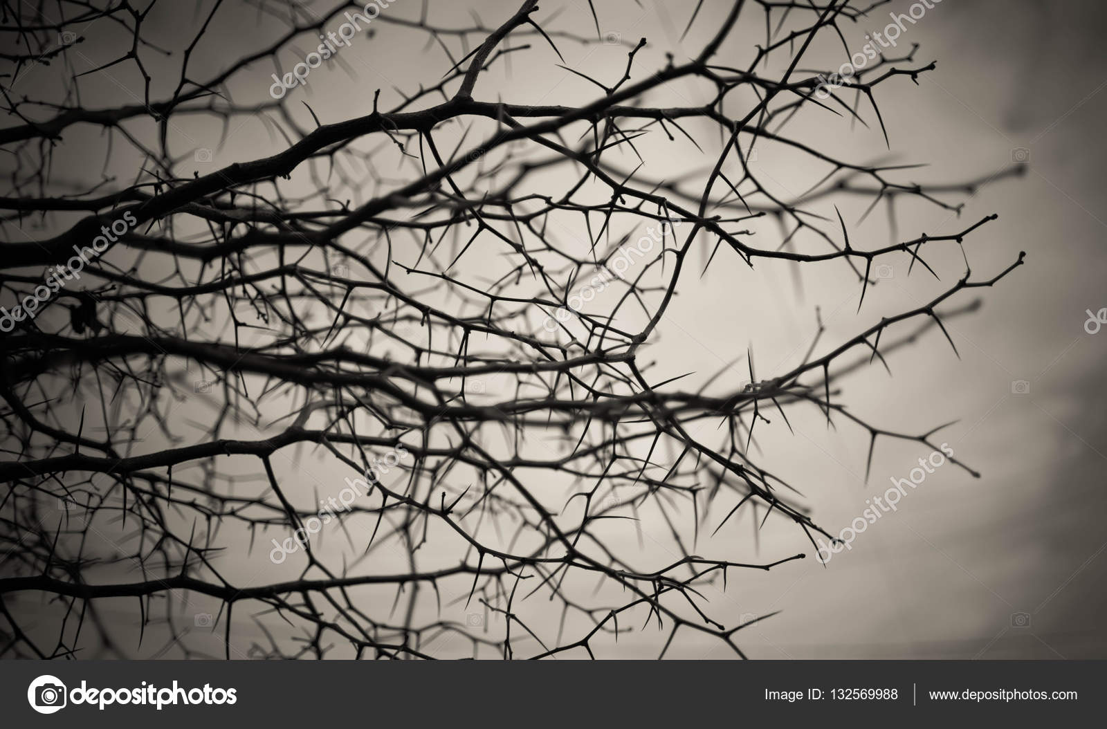 Download 93 Background Reference Art HD Terbaik