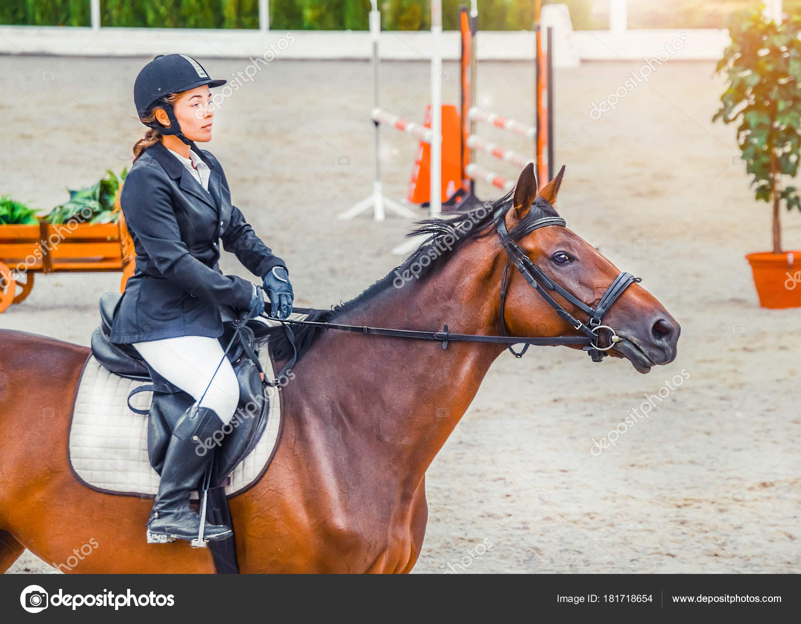 SCARICA SFONDO FOTO DRESSAGE