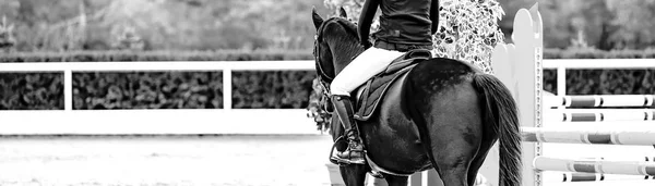 Beautiful girl on black horse in jumping show, equestrian sports, black and white. Horse and girl in uniform going to jump. Horizontal web header or banner design.