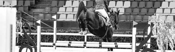 Beautiful girl on black horse in jumping show, equestrian sports, black and white. Horse and girl in uniform going to jump. Horizontal web header or banner design.
