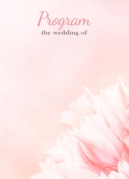 Wedding Program card, pink tulips, standart size. Greeting or invite Details card, elegant clear design template, light blur background.
