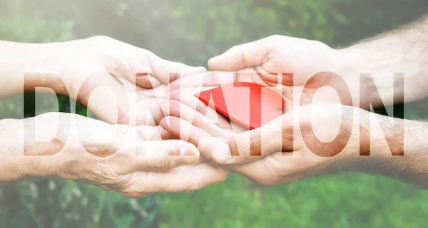 Donation Transparent Text Effect, old and young hands, red heart image cut, white background. Elderly people health, hunger, poorness, need. Team work business, charity, compassion, virus outbreak.