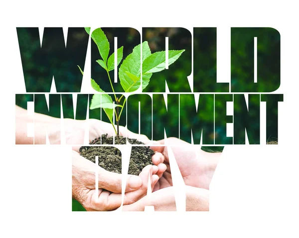 World Environment Day text, old and young hands, green sprout, white background. Elcology, hunger, poorness, need. Team work, sea, plastic pollution, charity, compassion, overpopulation, virus.