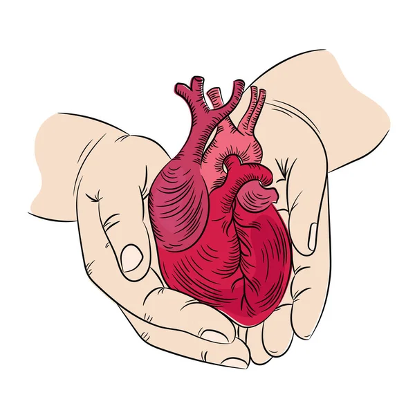 Cuore Mani Salute Simbolo Medicina Mano Umana Disegnare Vettore Illustrazione — Vettoriale Stock